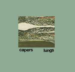 Lungs
