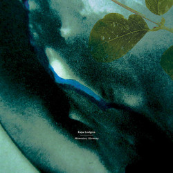 Momentary Harmony (Lp)