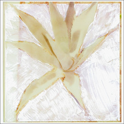Shapes (LP)