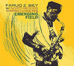 Emerging Field