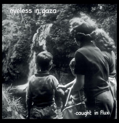 Caught In Flux (2LP)