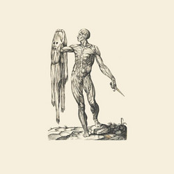 Observation of Breath (LP)