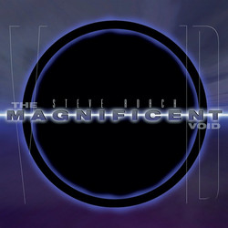 The Magnificent Void (2LP)