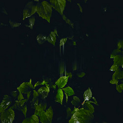 Music For Empty Flats (LP)
