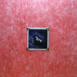 A Droll (LP + 5" + Wooden panel + Polaroid)