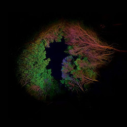 Hidden Island Music (LP)