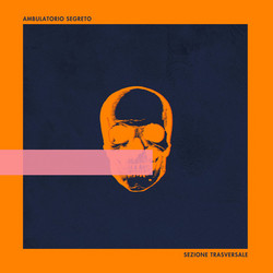 Sezione Trasversale (1988 - 1993) - LP, coloured