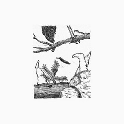 E' Vago Fior del Tempo (LP)