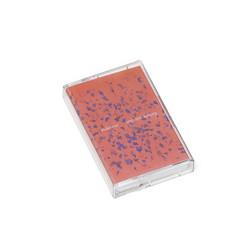 Long-term Memory (Tape)