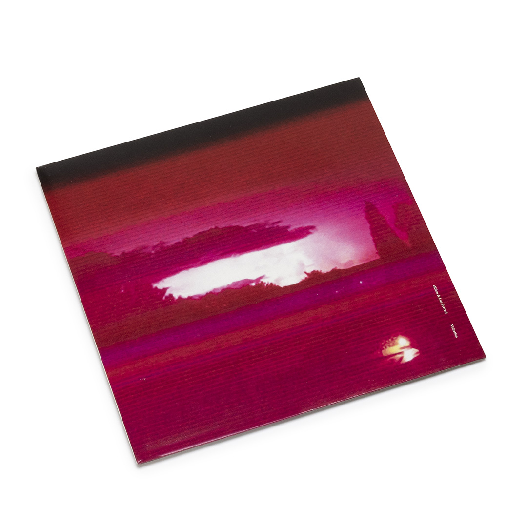 eRikm, Luc Ferrari – Visitation (LP) – Soundohm