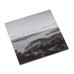 Spectral Arrows: Sidney (LP)