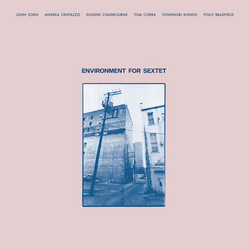 Environment For Sextet (LP)
