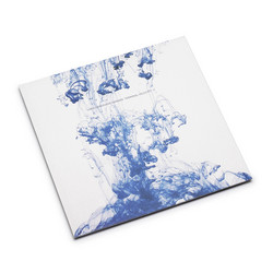 Terminal Velocity (LP)