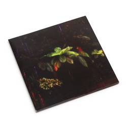 Puppet Island (2LP)