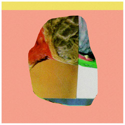 Probables (LP)