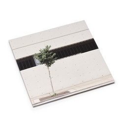 Wants A Diamond Pivot Bright (LP)