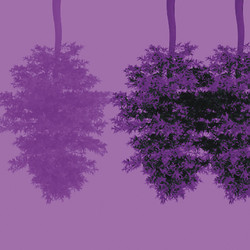 Myth Of The Drum. Urban Transformation (LP)
