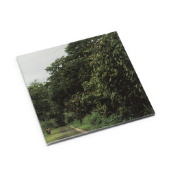 Entropies And Mimetic Patterns (LP)