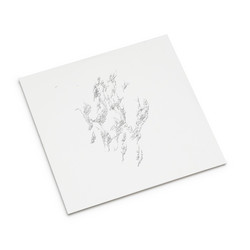 Drowner (2LP)