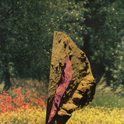 Läuten der Seele (LP)