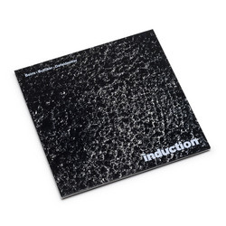 Induction (LP)
