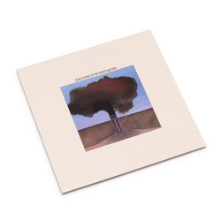 Racines Synthetiques (LP)