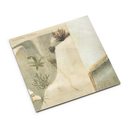 The Refrain (Lp)