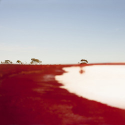 Crossed & Recrossed (LP)