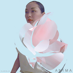 Anima (2LP)