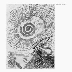 Muster (LP)