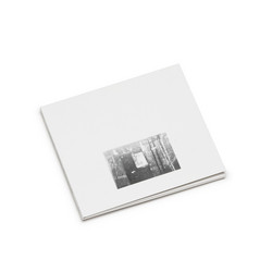 Its Appearance, Reflected by Three Copies 