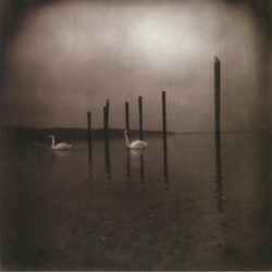 Conference Of The Birds (LP)