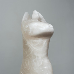 Cloud Holding (LP)