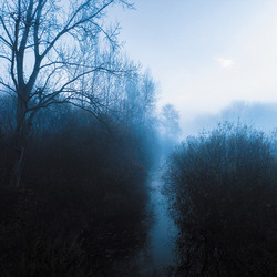 The Blue Horizon