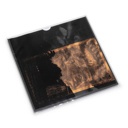 In the Drownings / The Sun Looks Pale Upon the Wall (LP)