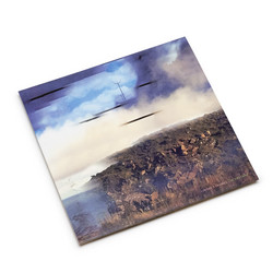 in.version (2LP)