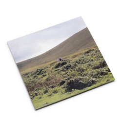 A Long Walk (2LP)