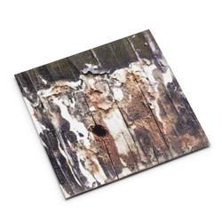 A Third Collusion (2LP)