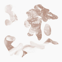 Hi Leaves (LP)