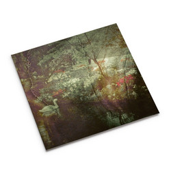 Echos Pastoraux (Lp)