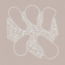 Peck And Fleet (LP)