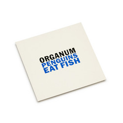 Penguins Eat Fish / Little Dark Wing