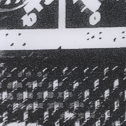 Plays John Cage II
