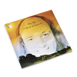 A Rainbow In Curved Air (LP)