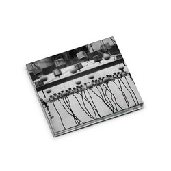 Echo. The Images Of Sound II