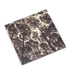 Photosynthesis (LP)