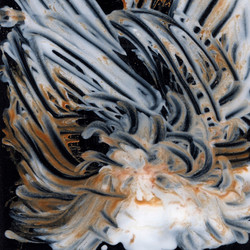 Le Lisse Et Le Strié (LP)