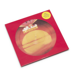 Sunbirds (LP, picture disc)