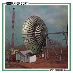 Incus / Malleus (7")