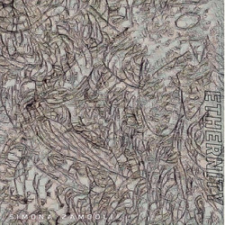 Ethernity (2LP)